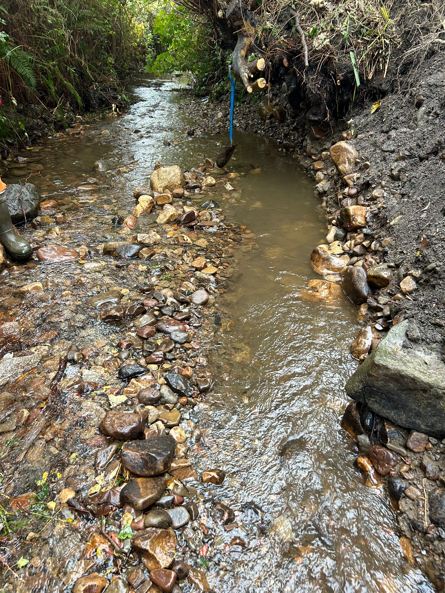 413a0758-20ea-4842-867a-3d0def60b84d