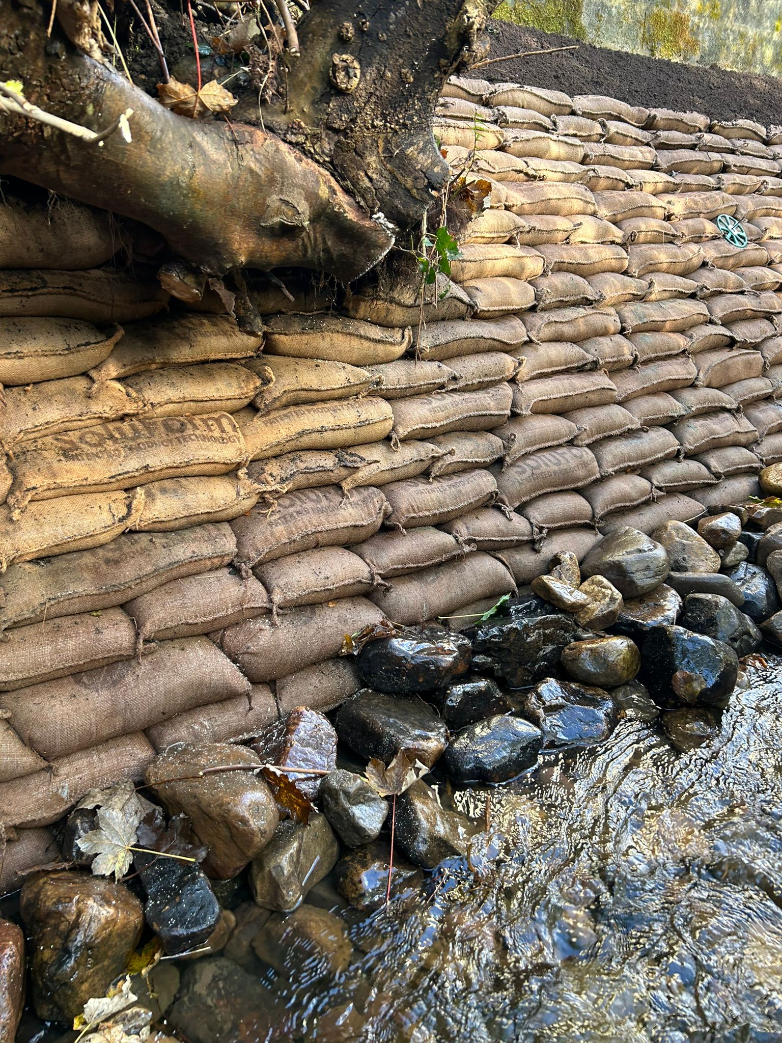 7f595a5e-f0b3-4982-b61b-43b4e8a5c1c0