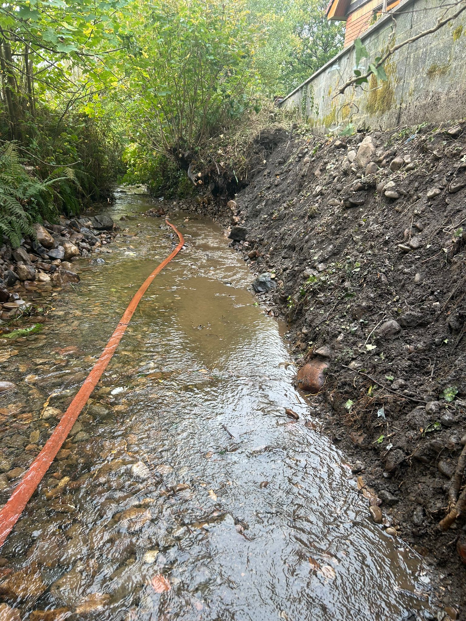 98451a7a-1084-4f89-b48f-0c718819c0a3