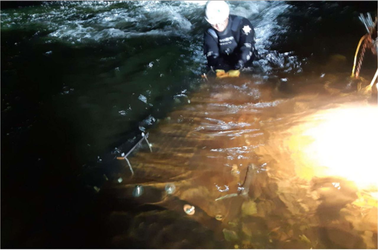 KAYMAC - 1 - 1768300465750