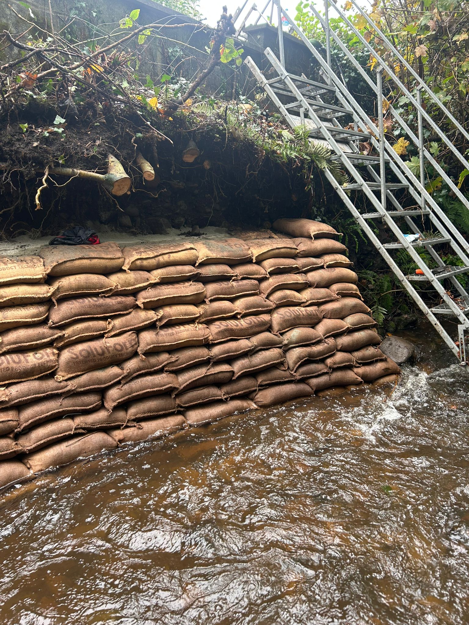 af21d769-873a-4d8d-a091-8cde642f7b6a