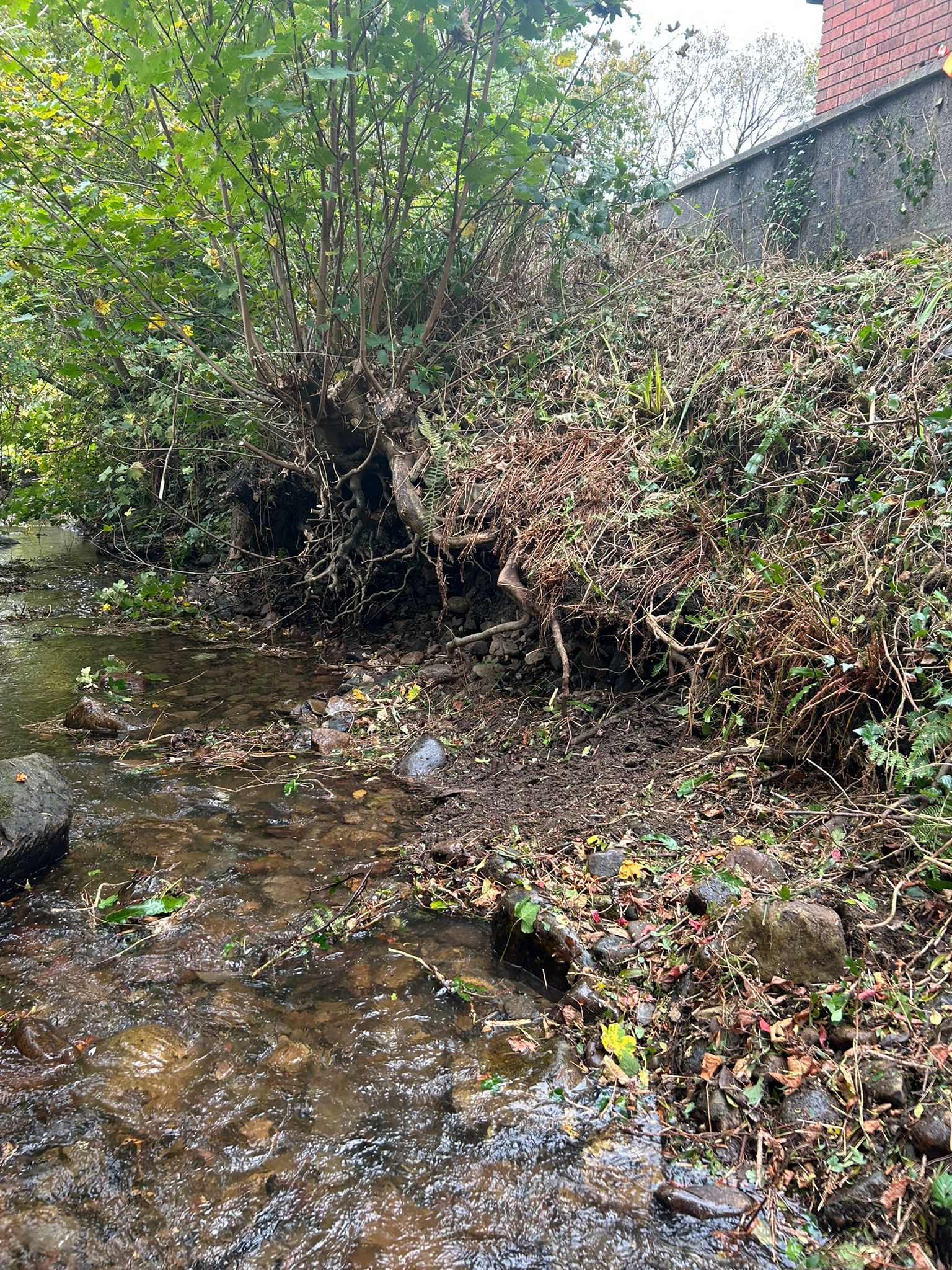 c80966ed-fff8-410c-89cb-d150eac61646